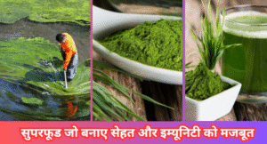 इसे खाने से कभी रोग नहीं होगा:सेहत और इम्यूनिटी